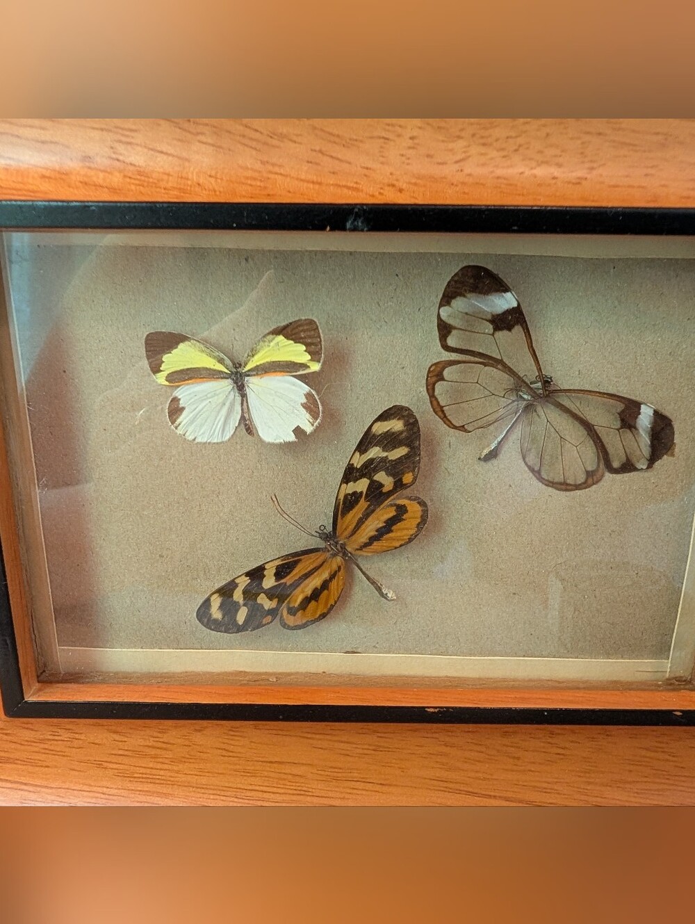 Retro Butterflies In Frame - Picture 6 of 6